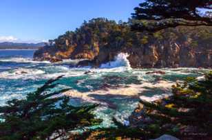 Point Lobos-1869.jpg